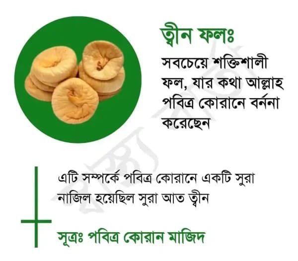 ত্বীন ফল