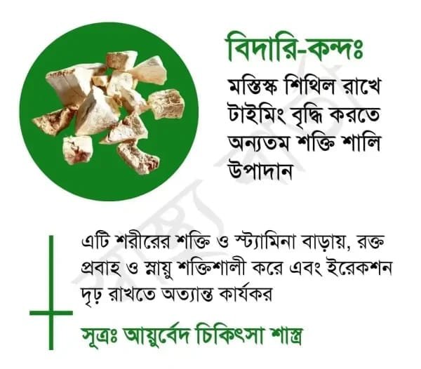 বিদারি-কন্দ