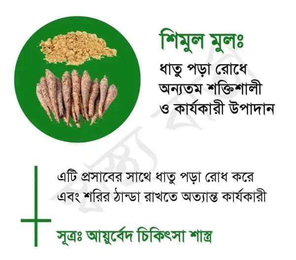 শিমুল মূল